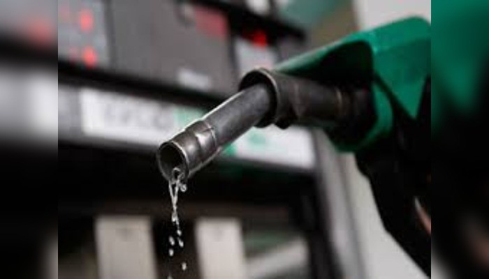 NEC reveals timeline for fuel subsidy removal