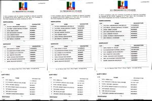 APC CECPC appoints Zonal Congress Committees