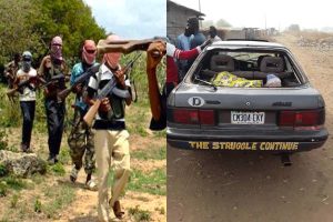 Niger Bandits Operation