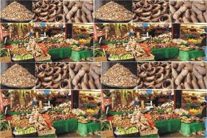 Analyst attributes decline in food inflation in January to steadiness in demand