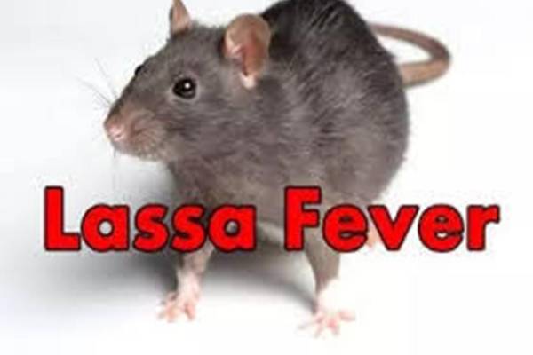 Lassa fever: Edo govt confirms 136 persons affected by outbreak