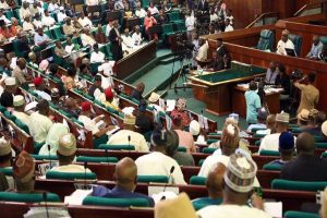 Reps tells Army, Police, DSS to combat herders invasion in Edo communities