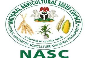 NASC confiscates vegetable seeds for non compliance in Nasarawa