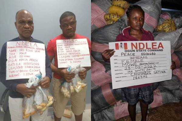 NDLEA arrests drug dealers, intercepts consignments en-route Australia, China, other countries
