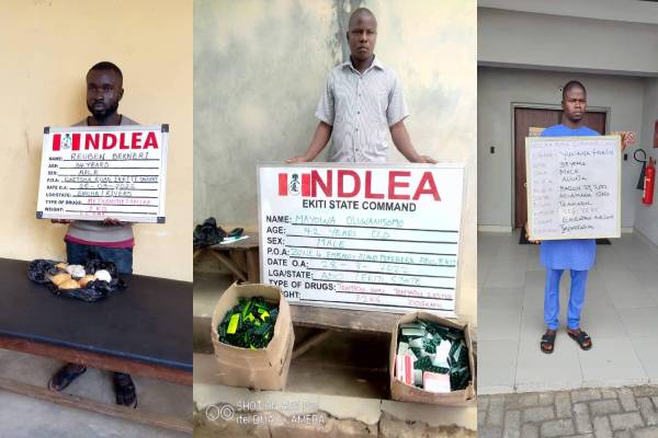 NDLEA arrests 5 members of airport syndicate, recovers N19.8m cash from ring leader