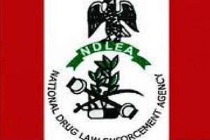 NDLEA QUARTER 1 REPORT