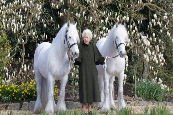 Queen Elizabeth II celebrates 96th birthday with new photo