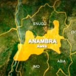 Gunmen kidnap ten herders, steal 300 cows in Anambra, demand N4m