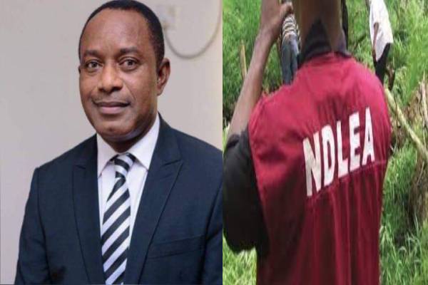 NDLEA arrests drug baron behind N3billion Tramadol linked to Abba Kyari’s team