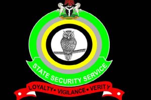 DSS ON VIOLENCE