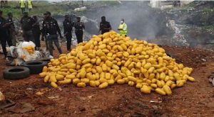 Police, NDLEA destroy drugs worth ten million in Ikorodu