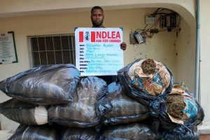 NDLEA ARRESTS SUSPECTS