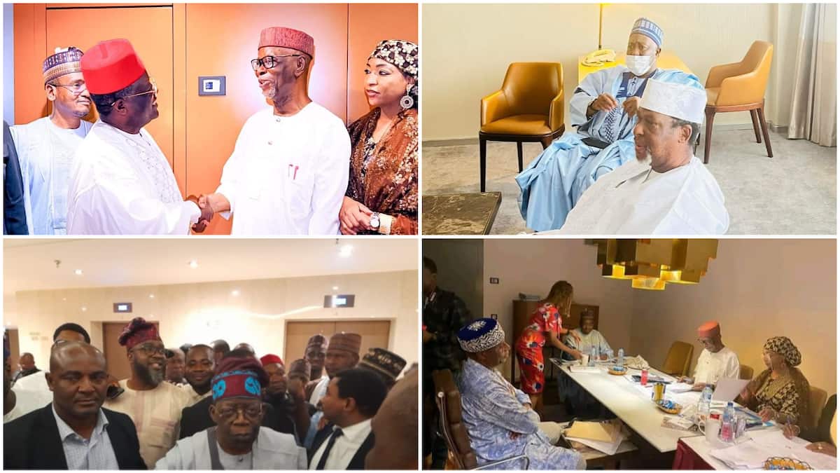  Just In: APC Presidential screening committee clears 13 aspirants to contest