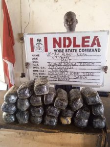 NDLEA seizes US, Dubai-bound drugs at MMIA, arrests 39 in Abuja raids
