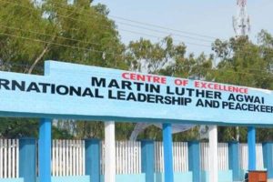 United Nations Train Observers