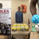 NDLEA seizes US, Dubai-bound drugs at MMIA, arrests 39 in Abuja raids