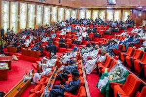 Senate on Insecurity