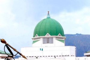 NASS MEMBERS ON CONSTITUENCY RPOJECTS