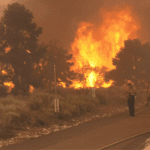 Wilfire in Writewood, California explodes to 775 acres