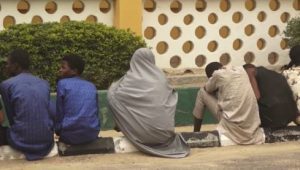  Police arrests 87 suspects for various crimes in Borno