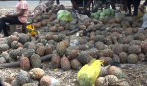 Benue traders express concern over worsening food scarcity