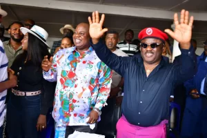 Gov Ayade wins Cross River Northern Senatorial Election