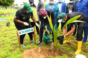 Lagos set for annual tree planting day celebration