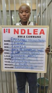 NDLEA intercepts 2.7m tramadol tablets worth over N1.2bn at Apapa port
