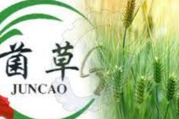 Nigeria, China Partnership