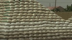 Katsina farmers determined to boost food security despite hurdles