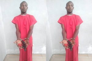 Delta Police Operation