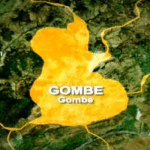 Gombe activates IMS to curtail spread of Monkeypox