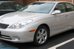 Police Arrest Apprentice