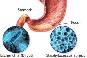 Sokoto Food Poisoning