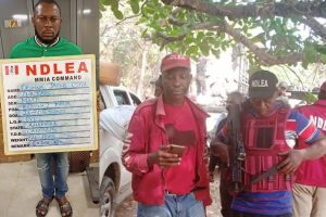 NDLEA ARREST