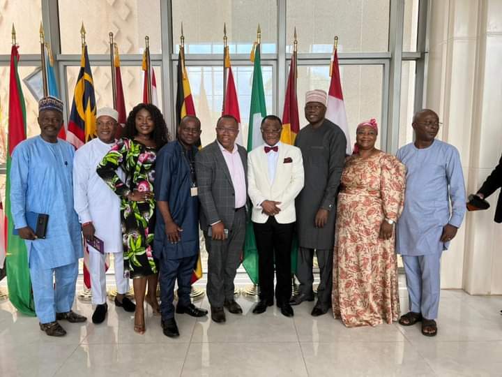 Oyedele tells African leaders to design home grown solution for accelerated devt