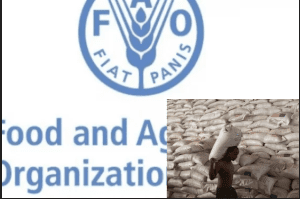 FAO to mitigate looming food crisis in northeast