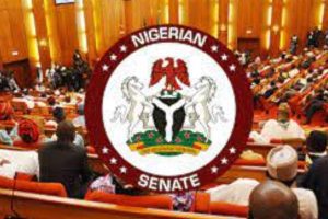 Senate on 2023 Budget
