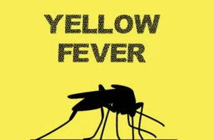  Yellow fever: NCDC reports 14 deaths in 10 States