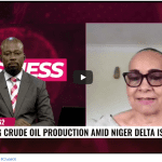 Federal Government not aware of oil production quantity in Nigeria - Ankio Briggs