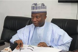 Constitution review_ NILDS DG, Reps accuse govs of executive rascality