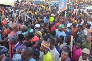 Borno APC Door To Door Campaign