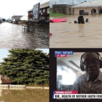 Floods: Bayelsa state not impacted, most false statement anyone can make - Nnimmo Bassey
