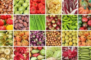 Forum on Partnership