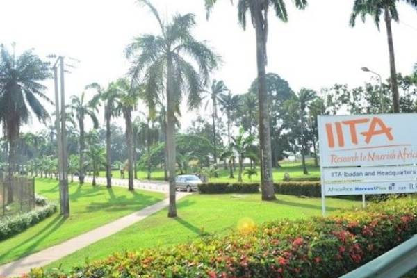 IITA ON AGRIC INVESTMENT