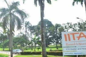 El Rufai, Makinde on Agribusiness