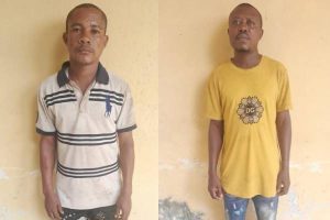 NDLEA ARREST