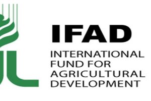 IFAD ON VALUE CHAIN