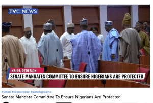 senate on Naira Redesign