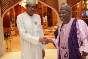 Energy expert lauds Buhari over oil discovery in the north